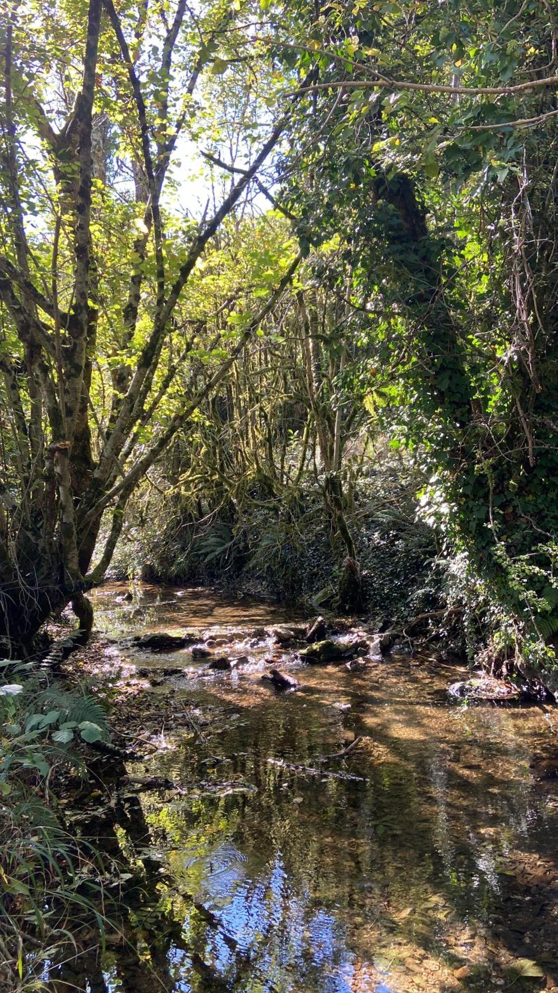 فندق La Bastide D'Albignac Le Dourn المظهر الخارجي الصورة
